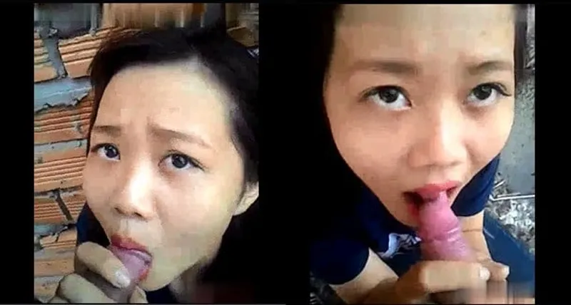 Gấu bú chim ở vườn sau nhà